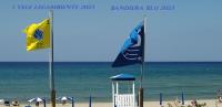 CarmineHolidayHouse - B&B Pollica
