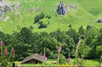 Cabaña Pasiega "La Reina del Paraíso" - B&B San Roque de Ríomiera