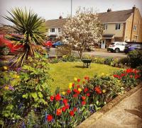 Shirley's Place - Chambres d’hôtes Boston Spa