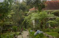 Ara Garden Inn, Accommodation, Yoga studio & Spa - B&B Ruteng