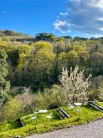 Kotič na hribu - B&B Dobravlje