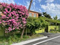 Green Corner - Bed and Breakfast Lagodekhi