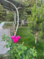 Апартамент на берегу Иссык - Куля - Bed and Breakfast