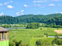 Einzigartiger Panoramablick, Bodensee und Messe in der Nähe - B&B Tettnang