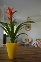 Zen Vanilla Home, Maison exotique entre Annecy et Geneve - Chambres d’hôtes Cruseilles