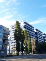 Elysse Sunrise Apartment - Ferienwohnung Mamaia