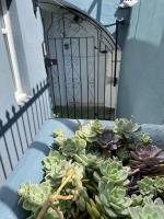Kemptown Courtyard Apartment - B&B
