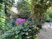 B&B Oš - Lovely home - Bed and Breakfast Oš