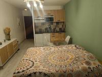 Grand jardin, plage, agréable, hôte reactif - Ferienwohnung Saint-Cyprien