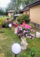 B&B Ventspils - Green Relax - Bed and Breakfast Ventspils