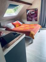 Studio au bord de la forêt de Perseigne - Bed and Breakfast