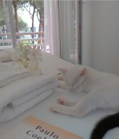 Apartment mit 2 Schlafzimmern