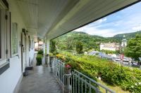 Villa Amalia, centrum Banska Stiavnica, parkovanie pre 2 auta, velka zahrada s krbom, cela Villa Amalia pre 16 osob alebo samostatne nezavisle prve podlazie Villa AMA pre 8 osob alebo samostatne nezavisle podkrovie Villa LIA pre 8 osob,prístup cez PIN-kód - B&B Banská Štiavnica