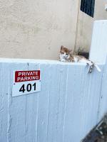 Coral Blue - Bed and Breakfast Barbáti