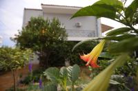 House in riviera lagonisi - B&B