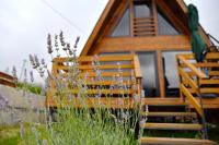 Kazbegi Spa Resort Cottages - B&B Stepantsminda