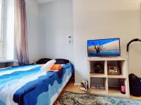 Central apartment in Helsinki - B&B