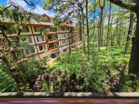 B&B Baguio - The Forest Lodge at Camp John Hay with balcony and parking privately owned unit 272 - Bed and Breakfast Baguio