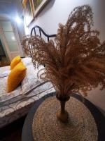 Appartement - Begane Grond