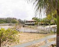 Tampa Bay Oasis - Chambres d’hôtes Tarpon Springs
