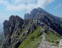 Appartamento con la vista - B&B Oltre il Colle