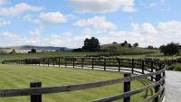 FLORA Luxury Retreat, Private Garden, Views & Hot Tub - Chambres d’hôtes Durham