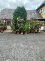 Appartamento - Piano Terra