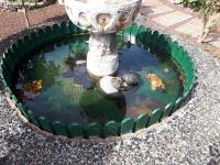 Apartamento tranquilo en una casa con jardín - B&B San Cristóbal de La Laguna