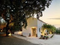 Syvyle - B&B Cazorla