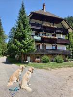 Waldblick Ferienwohnungen - Chambres d’hôtes Bonndorf