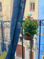 Bettatur Apartament Plaça de l'Oli - B&B Tarragona