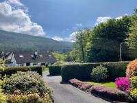 B&B Rostrevor - Forestbrook - Bed and Breakfast Rostrevor