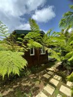 B&B Le Morne-Rouge - Bungalow à flanc de colline - Bed and Breakfast Le Morne-Rouge