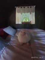Doppelzimmer mit Terrasse