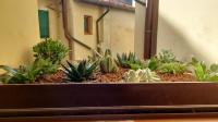 Casa Vacanze I Leoni Empoli - B&B