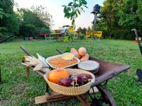 Alojamiento Los Imigrantes - B&B Chajarí