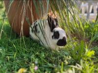 Haus mit 2 Schlafzimmern