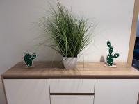 Rose No. 6 DG, klimatisiert - B&B Friedrichshafen