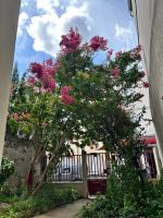 Grand logement Centre Ville Massy - B&B