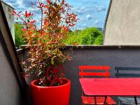 B&B Straatsburg - Le Balcon fleuri centre Robertsau tram Jardiniers - Bed and Breakfast Straatsburg