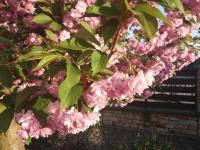 Chambre Double avec Salle de Bains Privative Extérieure