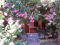 Olive tree Cottages - Ferienwohnung