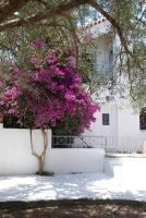 Katelios Farm House Loft - B&B