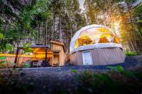 Quisibis Dômes - Chambres d’hôtes Riviére-Verte