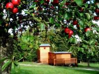 Chalet en forêt avec terrasse, pêche, baignade, et proximité chemins de randonnée - Normandie - FR-1-497-184 - Ferienwohnung