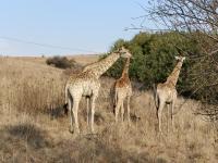 Casa con 1 Camera da Letto