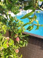 Il nido - B&B Cecina