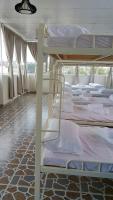 Bed in 10-Bed Mixed Dormitory Room