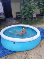Gori Lokhap - B&B