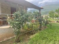 Villa Olympus - B&B Kalývia